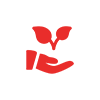 Icon 2